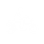 RIDER BEHAVIOUR